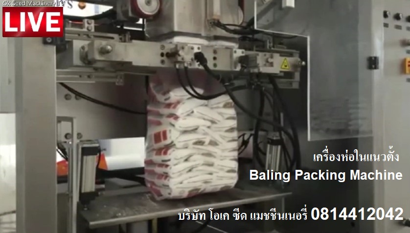 ขายเครื่องบรรจุถุงเล็กในถุงใหญ่ เครื่องห่อในแนวตั้ง 0814412042 Baling Packing Machine